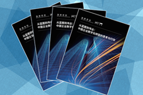 《从蓝图到伟业：中国企业数字化转型的思考与行动》
